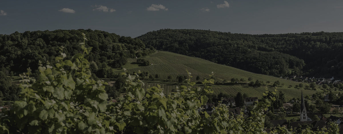 Tysk vin fra Tyskland