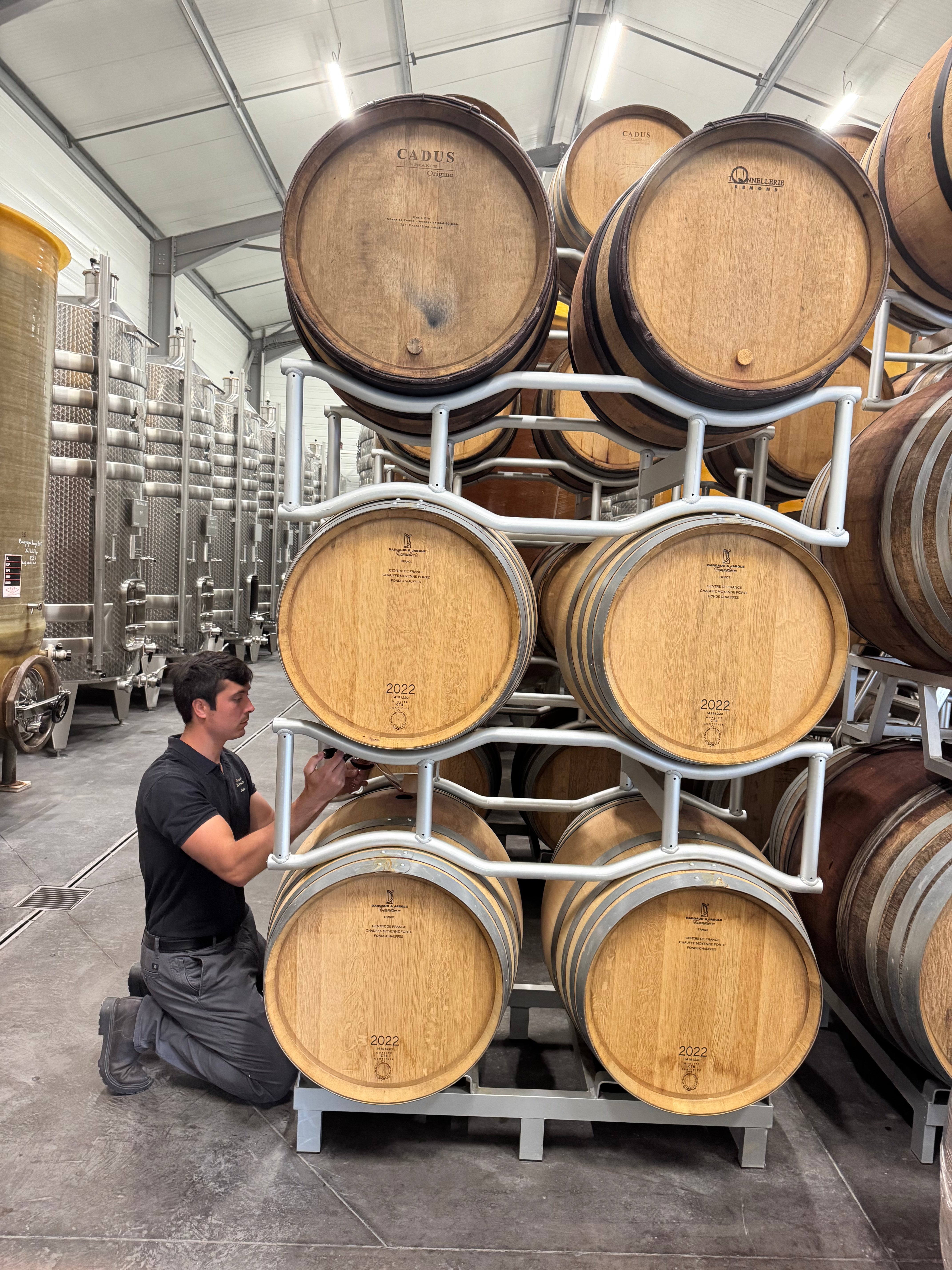 Boussard Les Griottes Bourgogne Pinot Noir