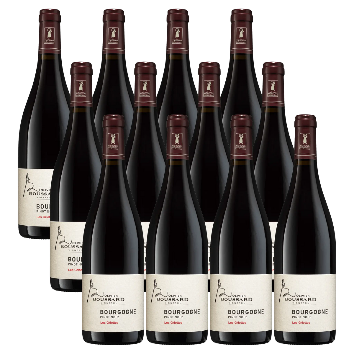 Domaine Boussard Bourgogne Pinot Noir Cuvée Les Griottes 2023 12 bottles