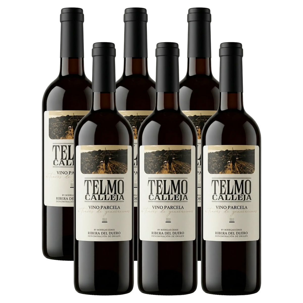 6 Flaschen Telmo Calleja Ribera del Duero Rotwein