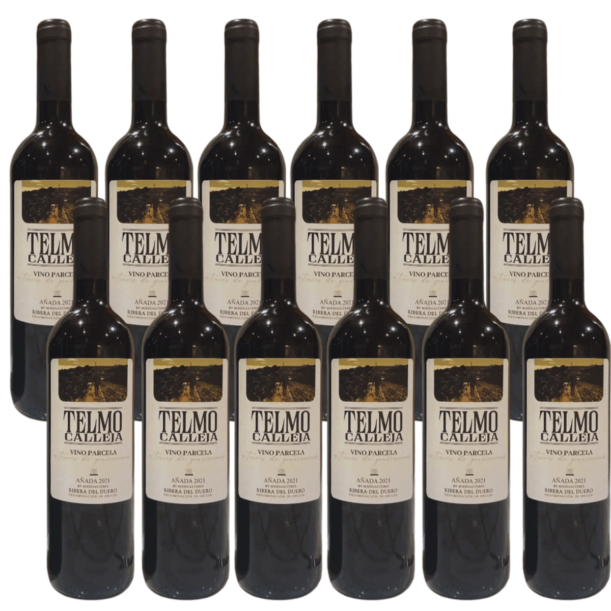Telmo Calleja – Ribera del Duero 12 Flasker