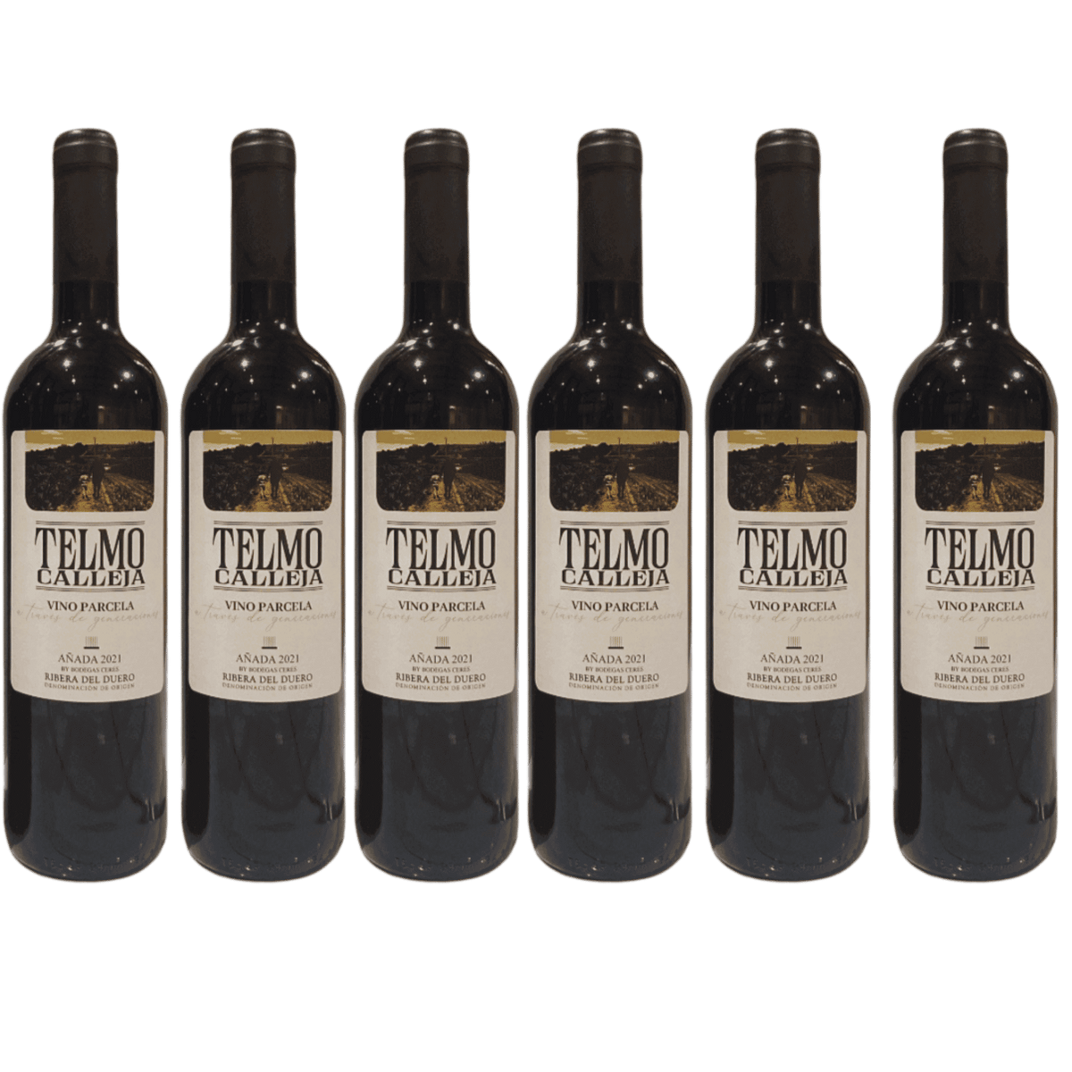Smagen af Spanien i Dit Glas – Telmo Calleja 2021