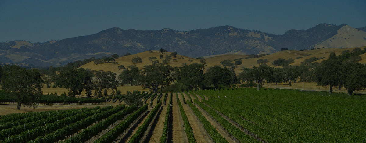 Vin fra USA og Californien