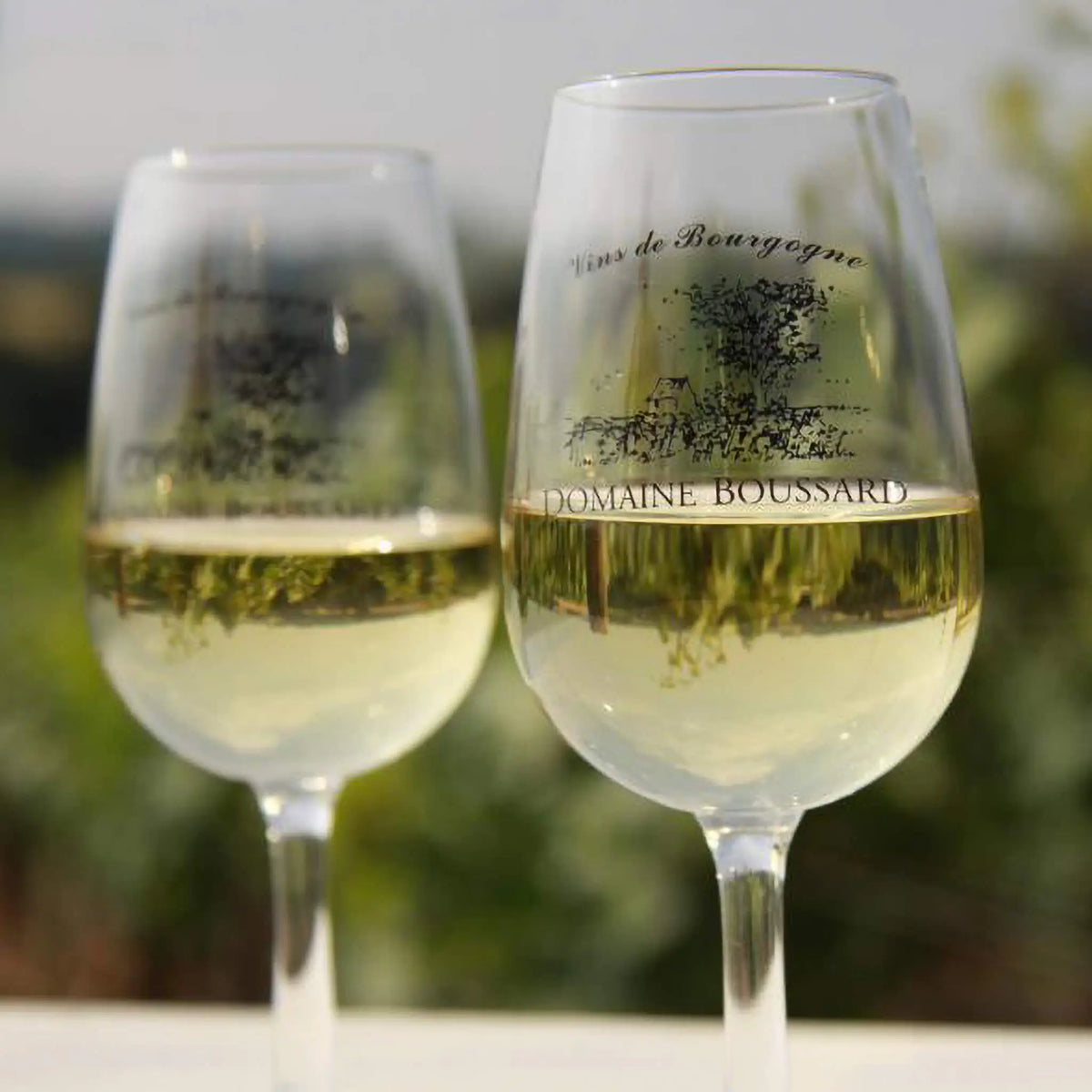 Domaine Boussard Chardonnay Glasses
